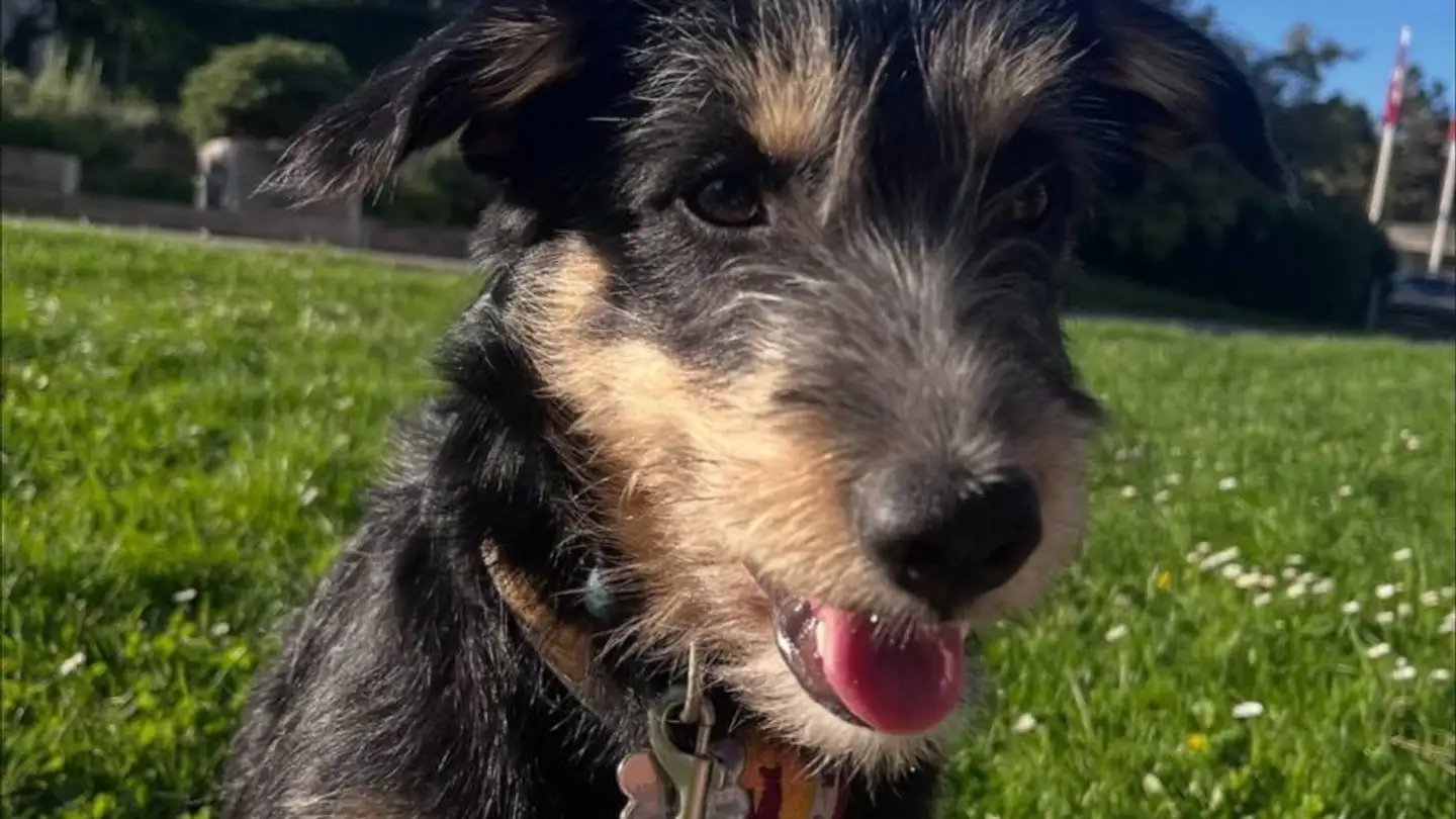 Single room for rent - Route De La Plaine 5, 1022 Chavannes-près-Renens - Photo 4