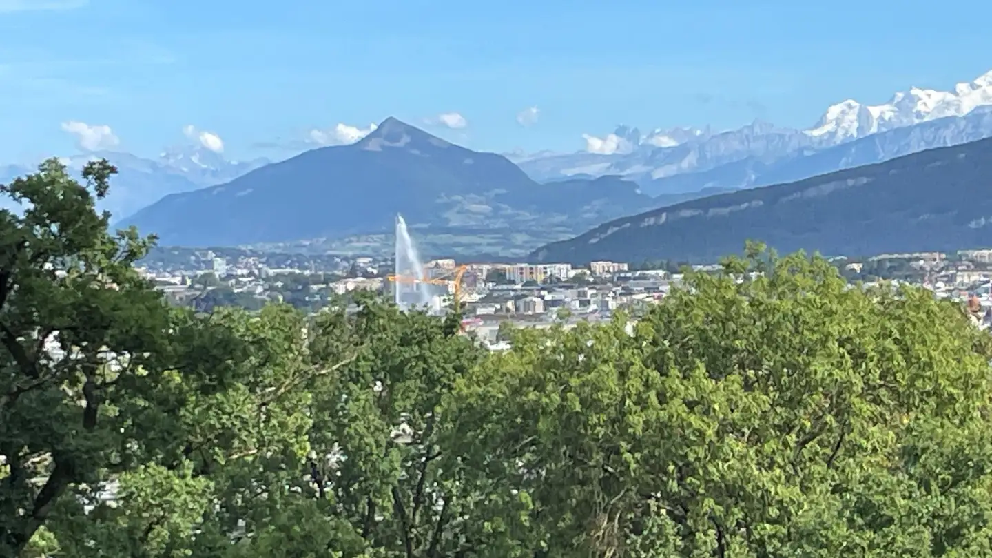 Appartement à vendre - 1204 Genève - Photo 4