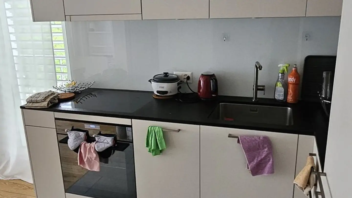 Appartement à louer - 8050 Zürich - Photo 2