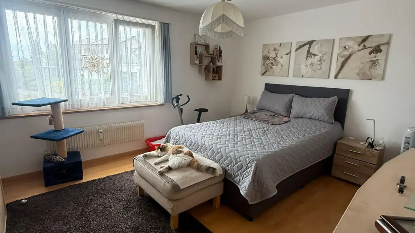 Appartement à louer - Sonnenhalde 8, 9553 Bettwiesen - Photo 3