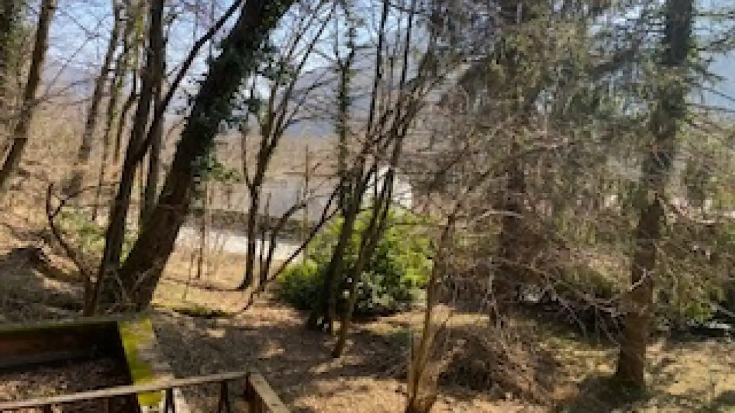 Laboratorio in vendita - Ponte Cremenaga, 6998 Monteggio - Photo 4