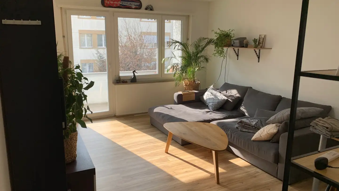 Appartamento in affitto - 8600 Dübendorf