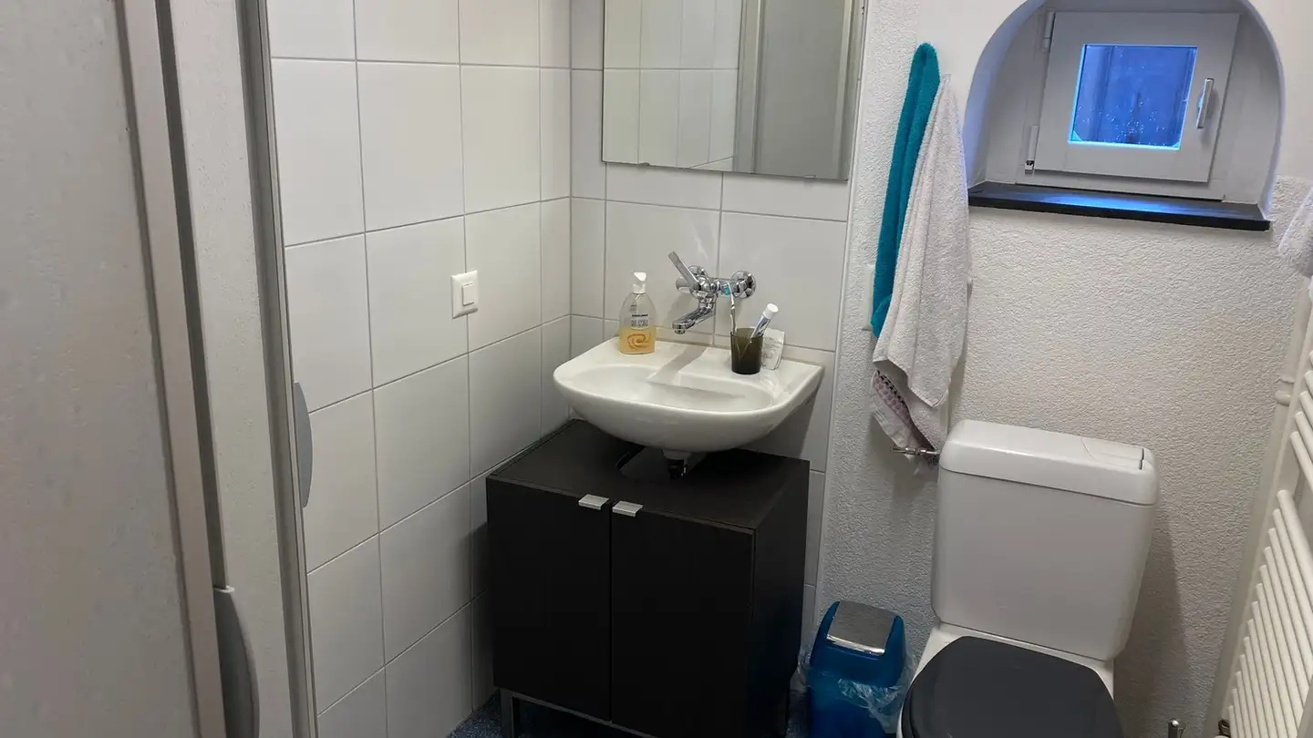 Chambre à louer - Seestrasse 117, 8707 Uetikon am See - Photo 4