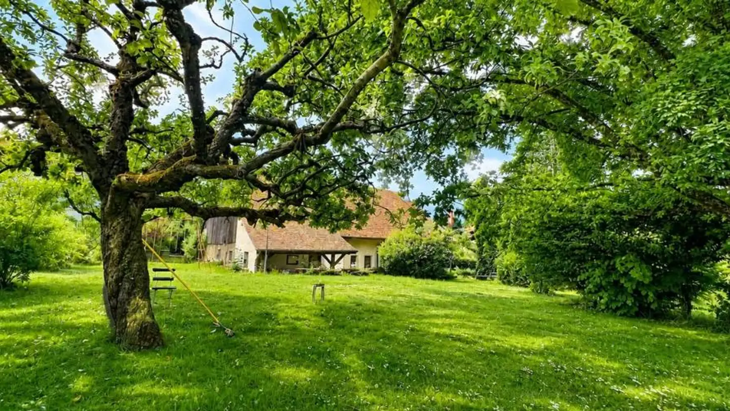Farm for sale - 1061 Villars-Mendraz - Photo 4