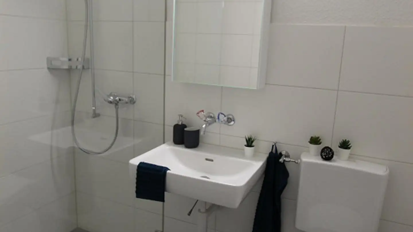 Wohnung mieten - Oberdorfstrasse 9, 9532 Rickenbach b. Wil - Foto 3