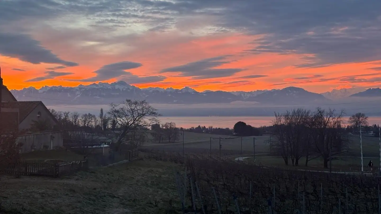 Single house for rent - Route Du Village 7, 1134 Vufflens-le-Château - Photo 3