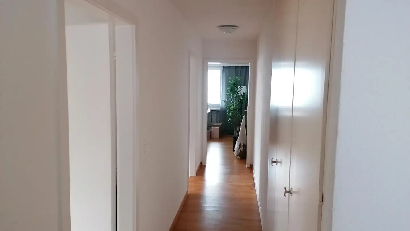 Wohnung mieten - Föhrenstrasse 2, 8200 Schaffhausen - Foto 3