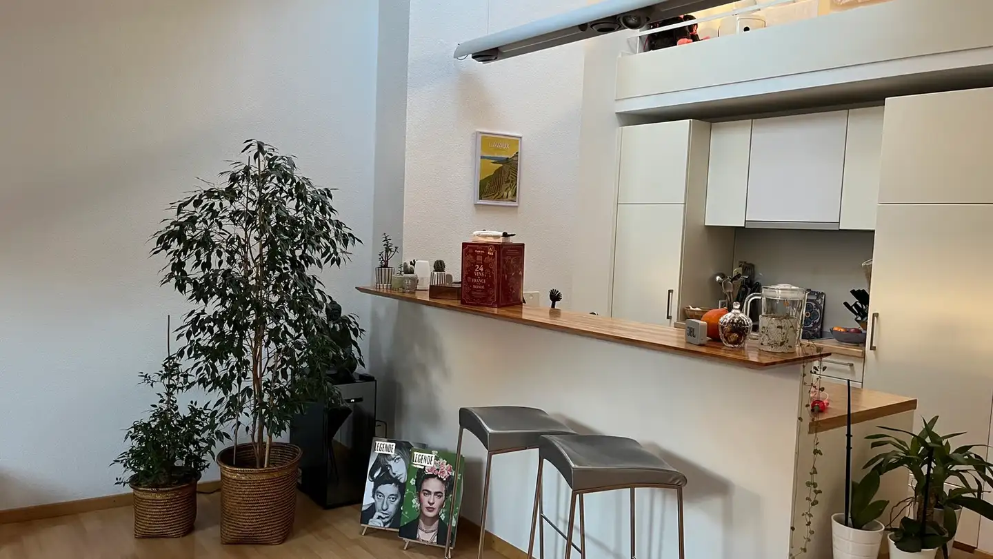 Appartamento in affitto - 1095 Lutry