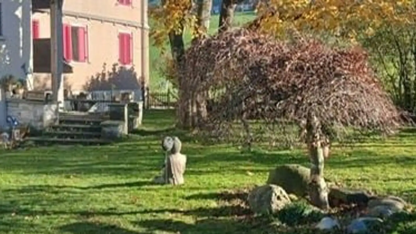 Appartamento in affitto - Dorfstrasse 50, 6142 Gettnau - Photo 2