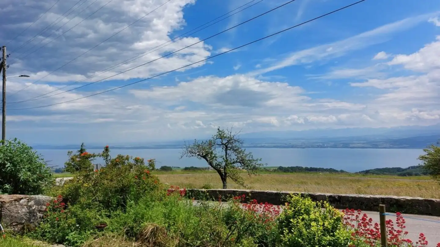 Casa singola in vendita - 1428 Mutrux - Photo 2