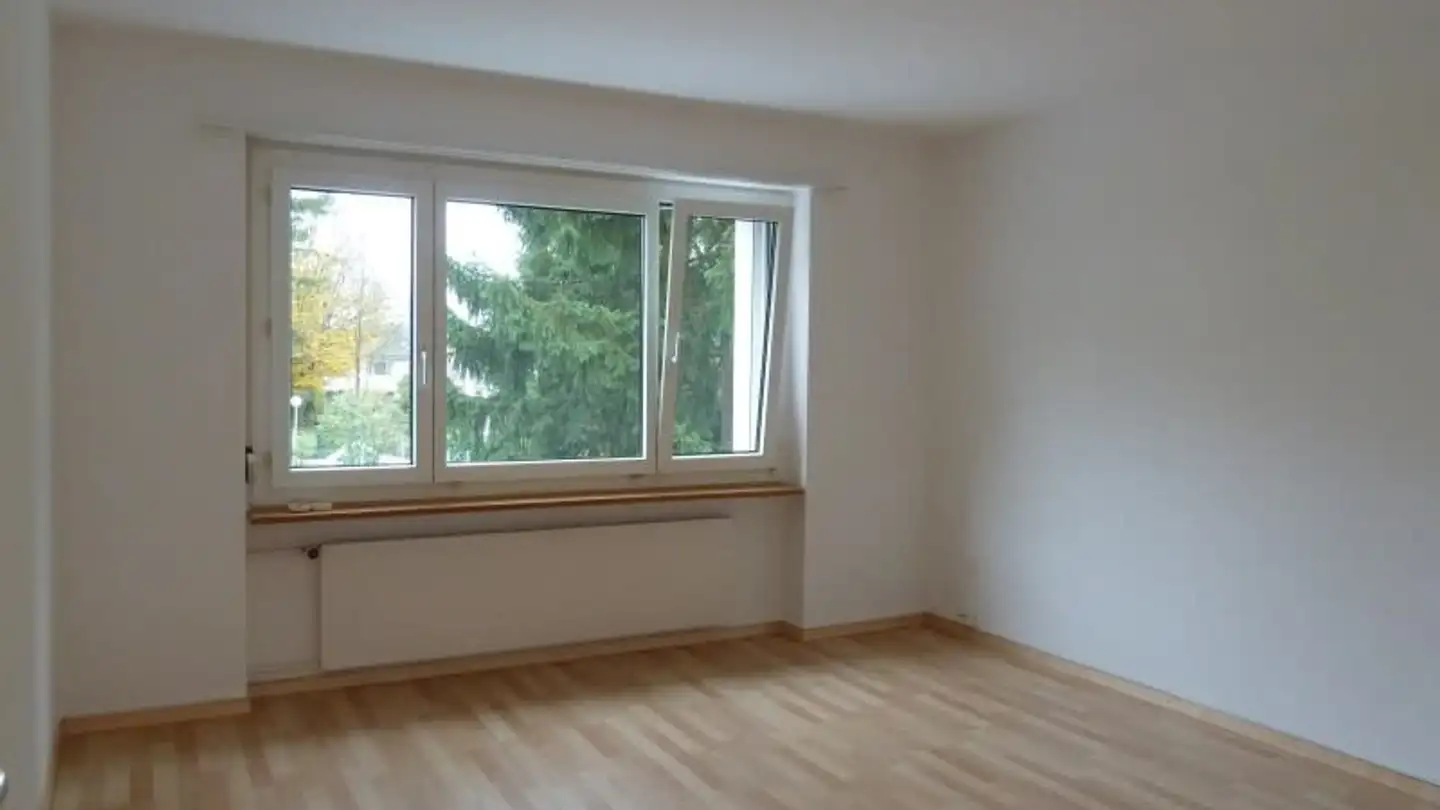 Appartamento in affitto - Untere Dorfstrasse 50, 8964 Rudolfstetten - Photo 4