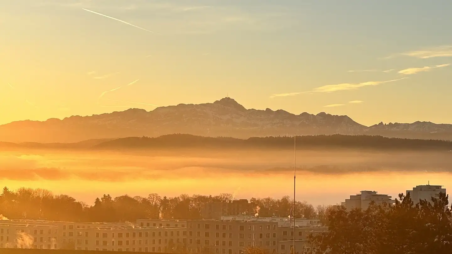 Single room for rent - 9500 Wil SG - Photo 3