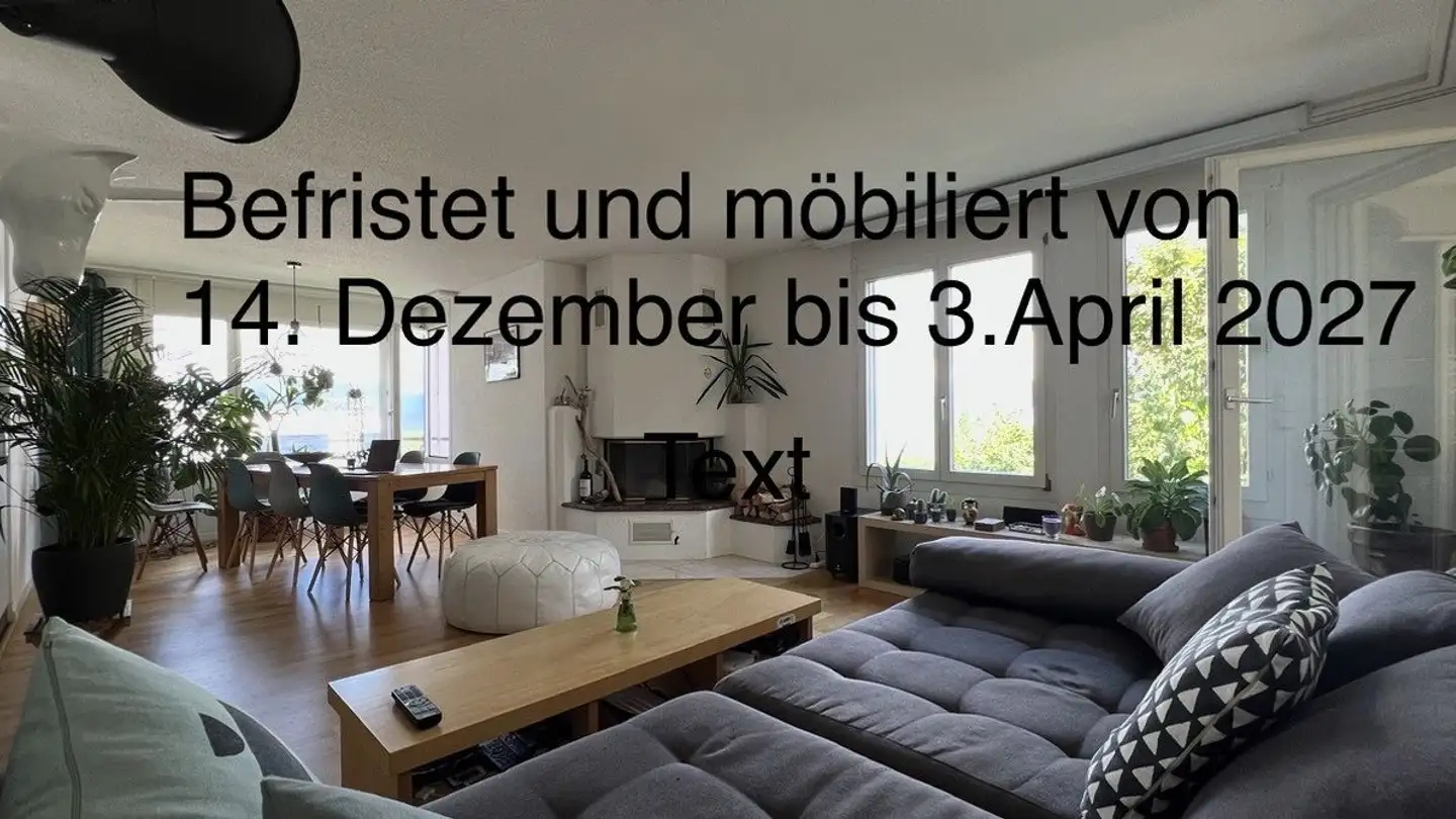 Wohnung mieten - 8820 Wädenswil