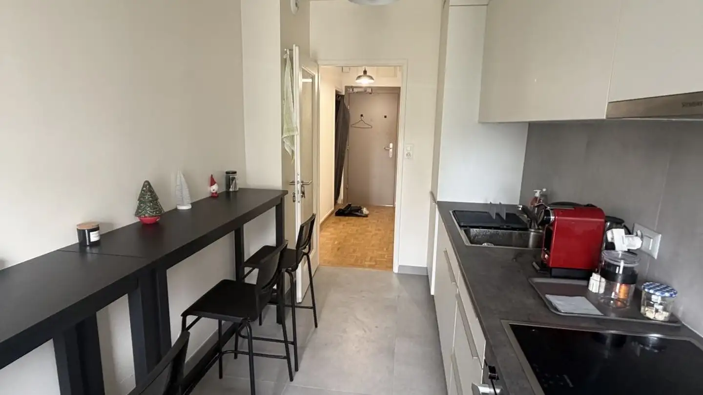 Appartamento in affitto - Rue Des Asters 18, 1202 Genève - Foto 4