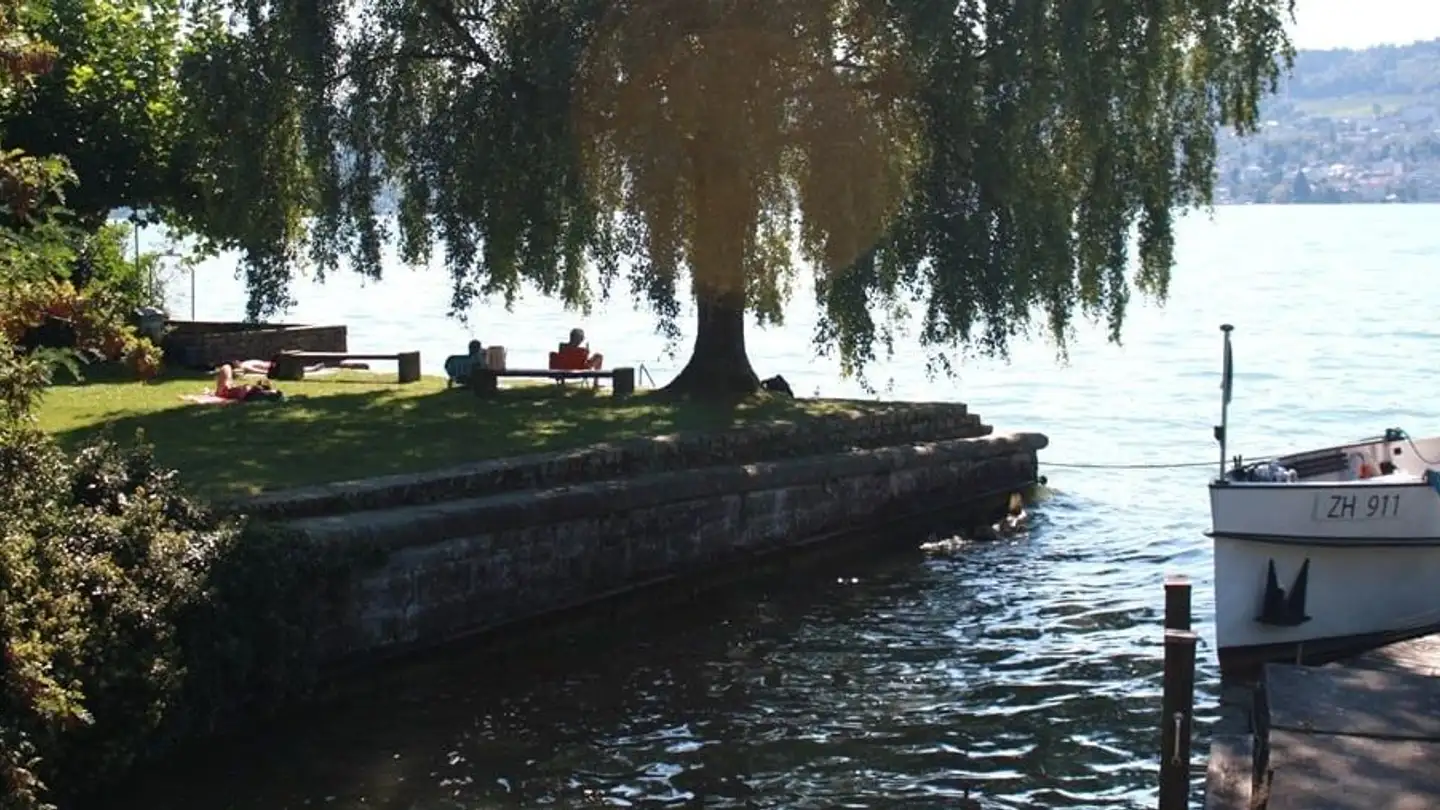 Office space for rent - General-Wille-Strasse 94, 8706 Meilen - Photo 4