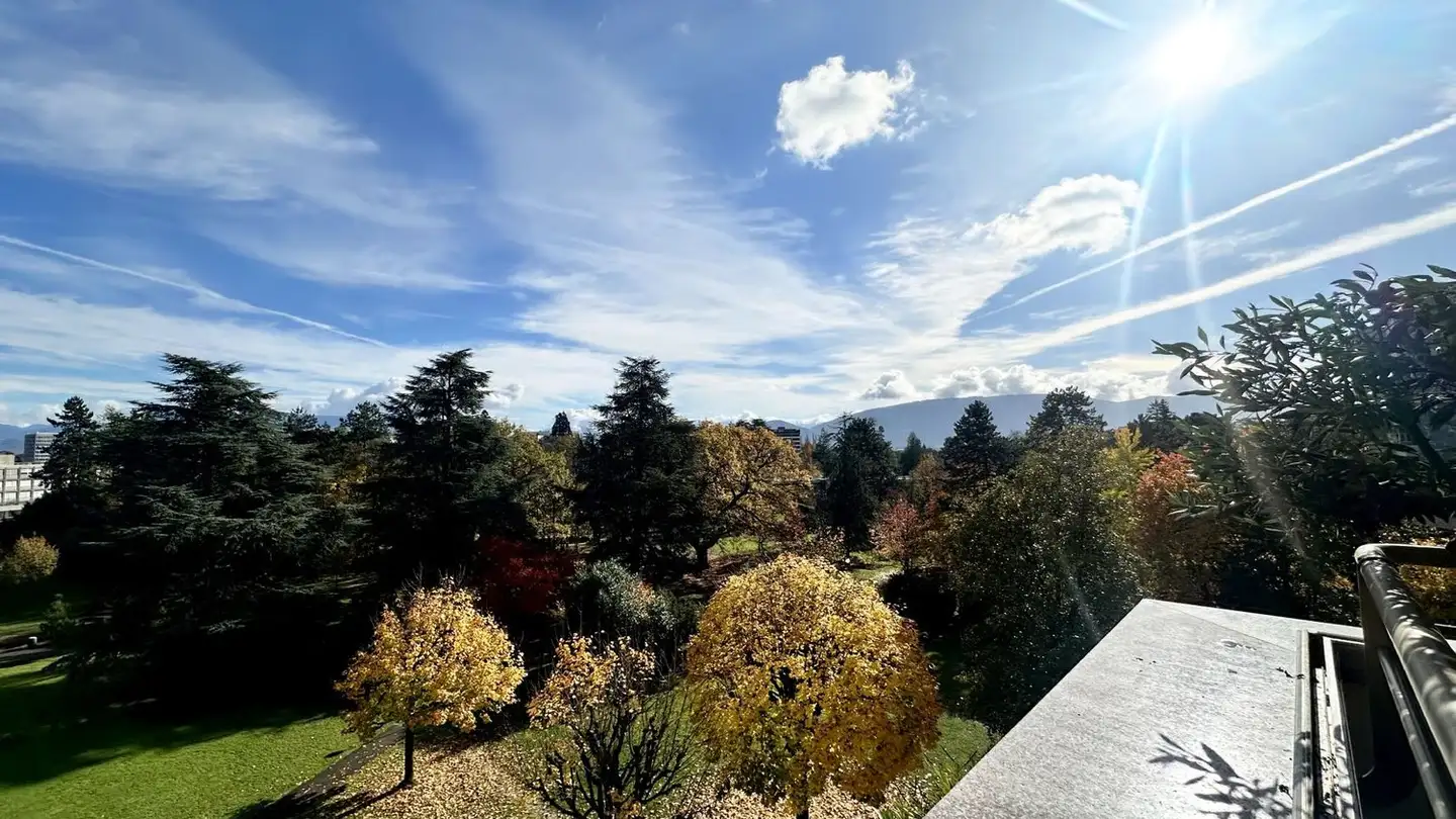 Appartement à vendre - Chemin du Pommier, 1209 Genève - Photo 3