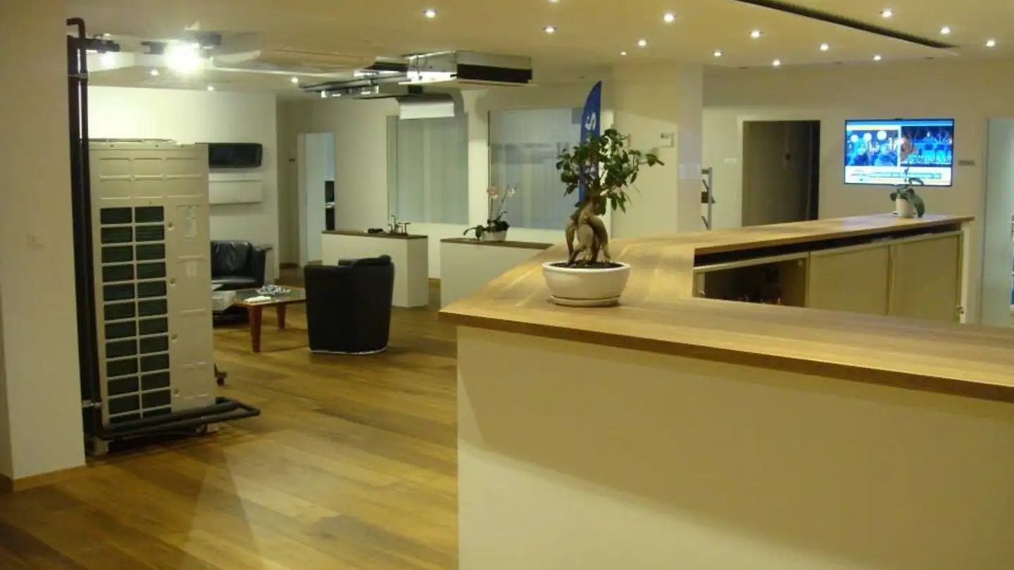 Gewerbe mieten - Steinhaldenring 4, 8954 Geroldswil - Foto 3