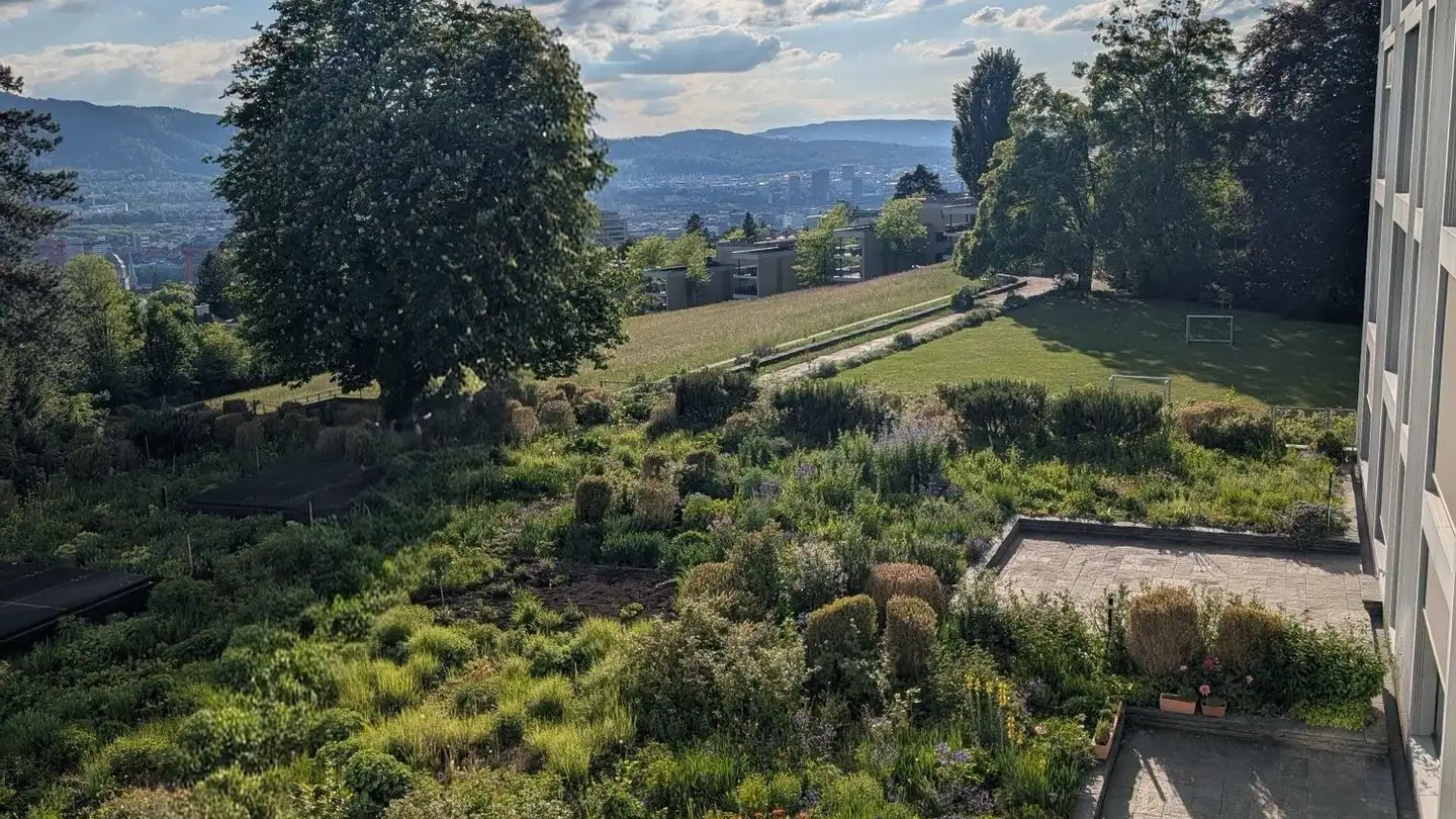 Wohnung mieten - Zürichbergstrasse 127, 8044 Zürich - Foto 2