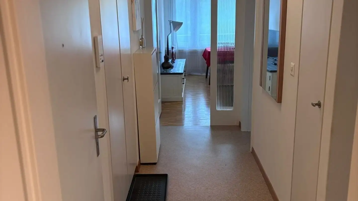 Furnished apartment for rent - Leepüntstrasse 16, 8600 Dübendorf - Photo 4