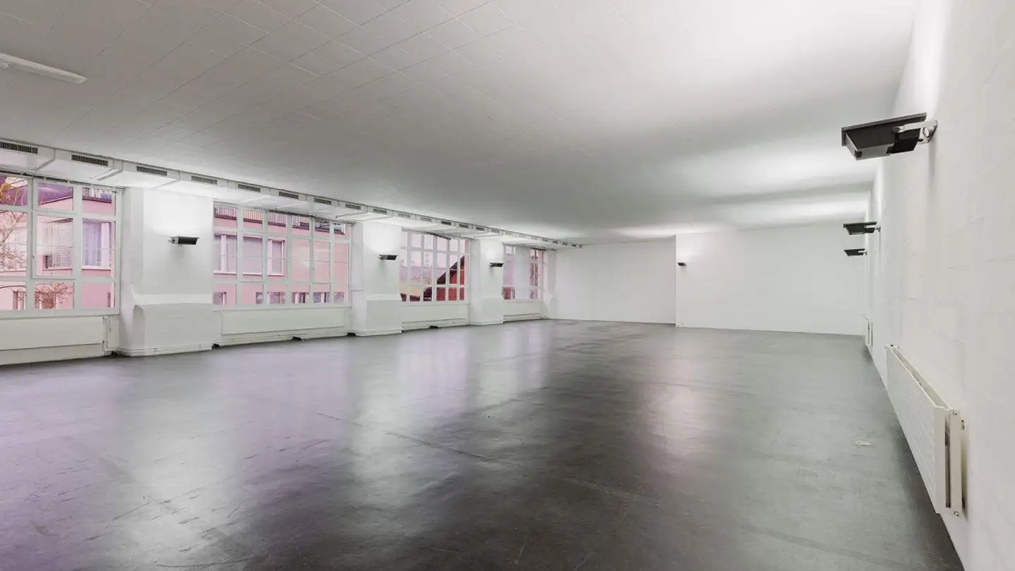 Gewerbe mieten - Alte Affolterstrasse 1, 8909 Zwillikon - Foto 2