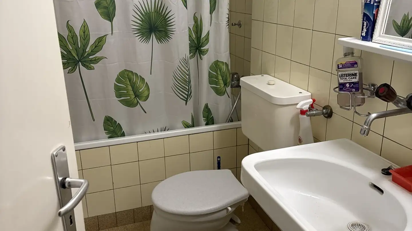 Apartment for rent - Bachmattstrasse, 8048 Zürich - Photo 3