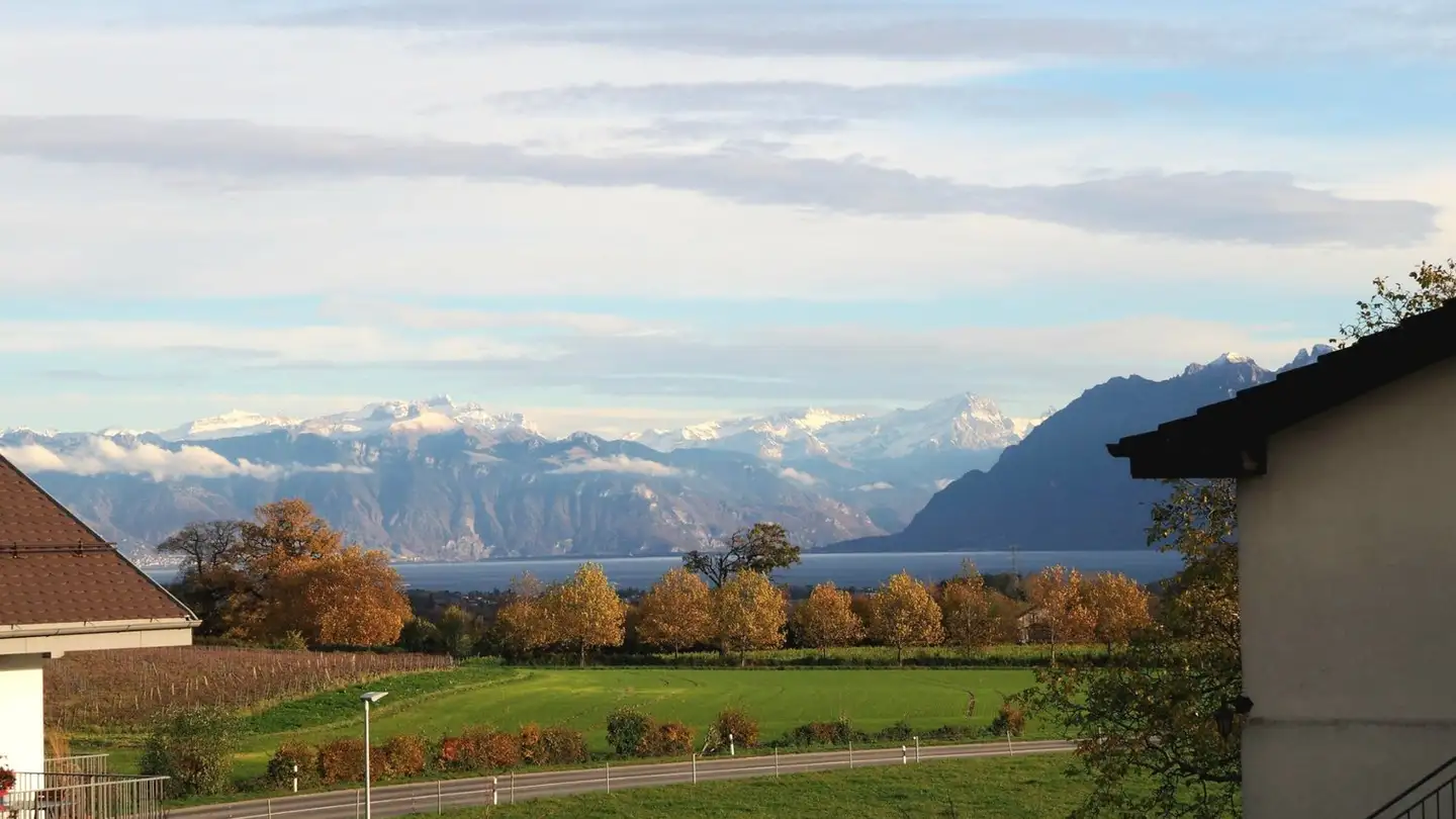 Appartement à vendre - 1113 St-Saphorin-sur-Morges - Photo 2