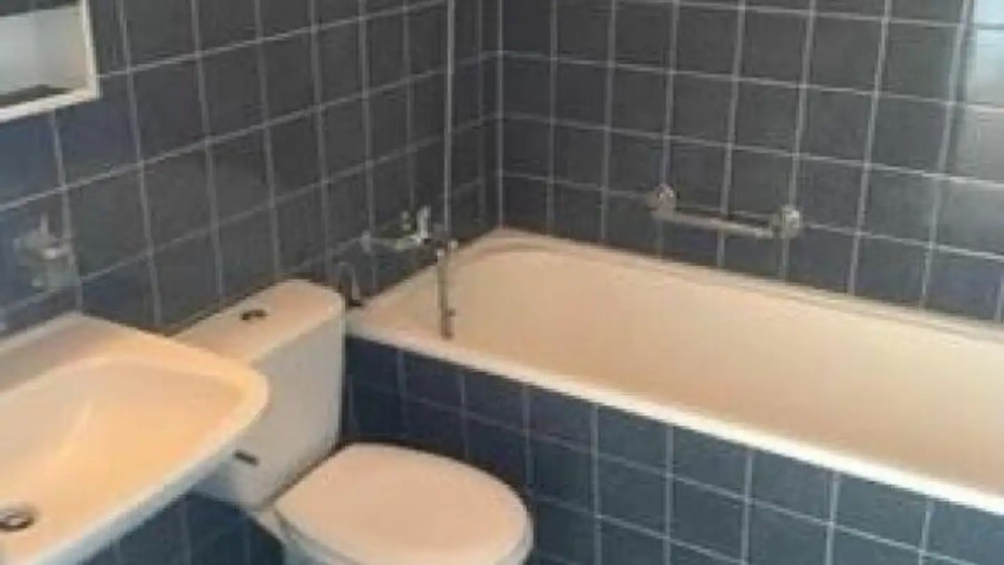 Wohnung mieten - Auenstrasse, 9443 Widnau - Foto 3