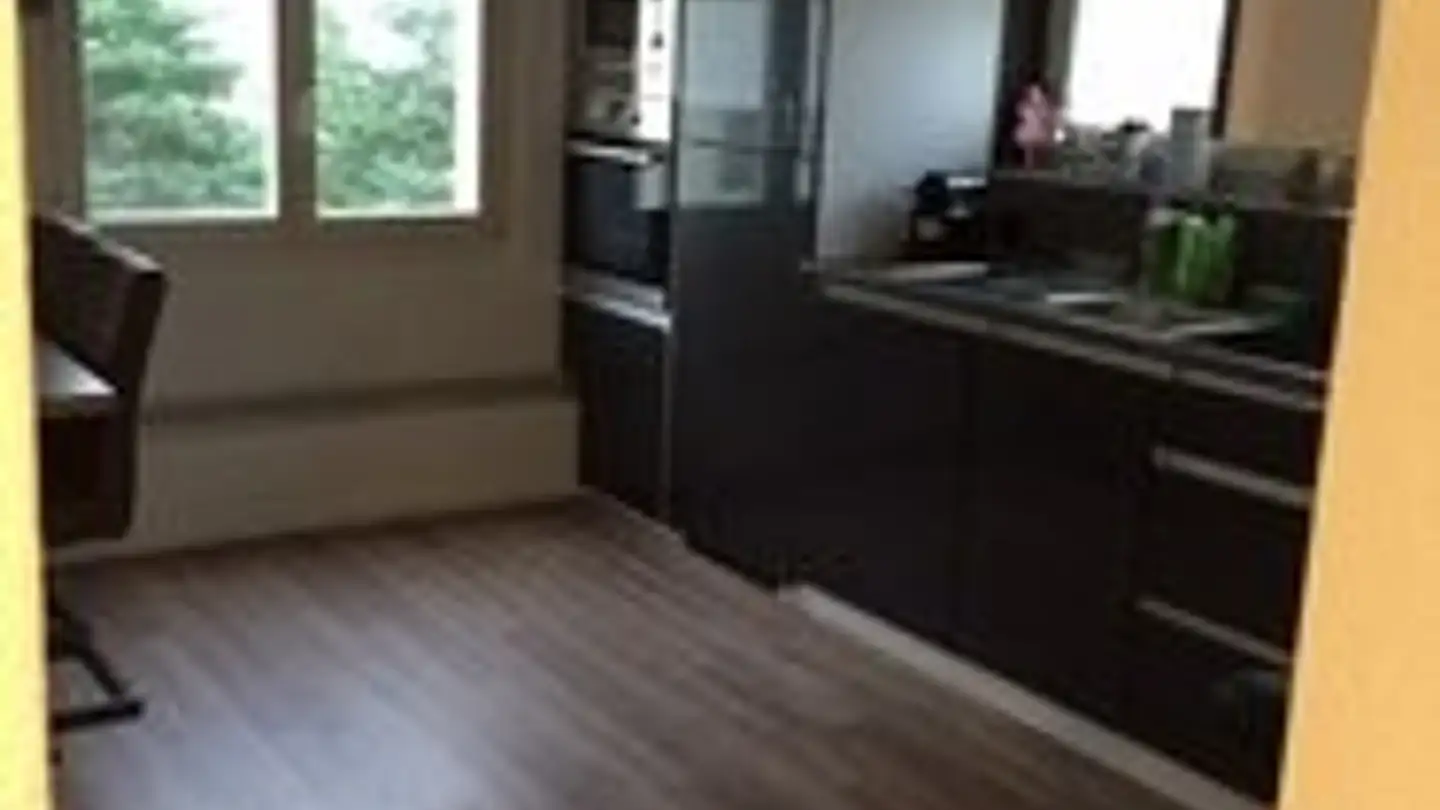 Appartamento in affitto - Schlossbergstrasse 7, 8820 Wädenswil - Foto 3