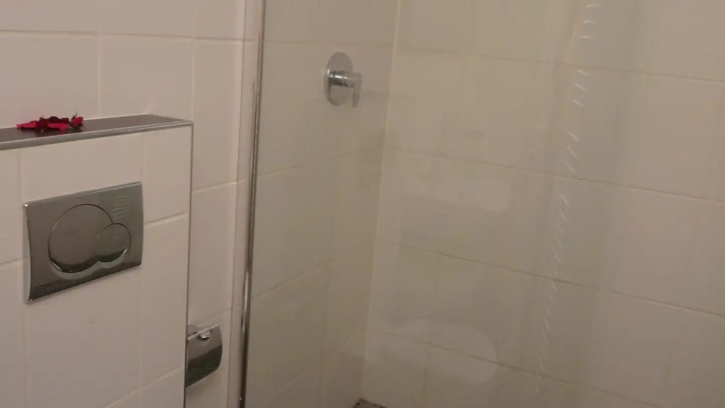 Apartment for rent - Rue Des Mocatheys 9, 1913 Saillon - Photo 4