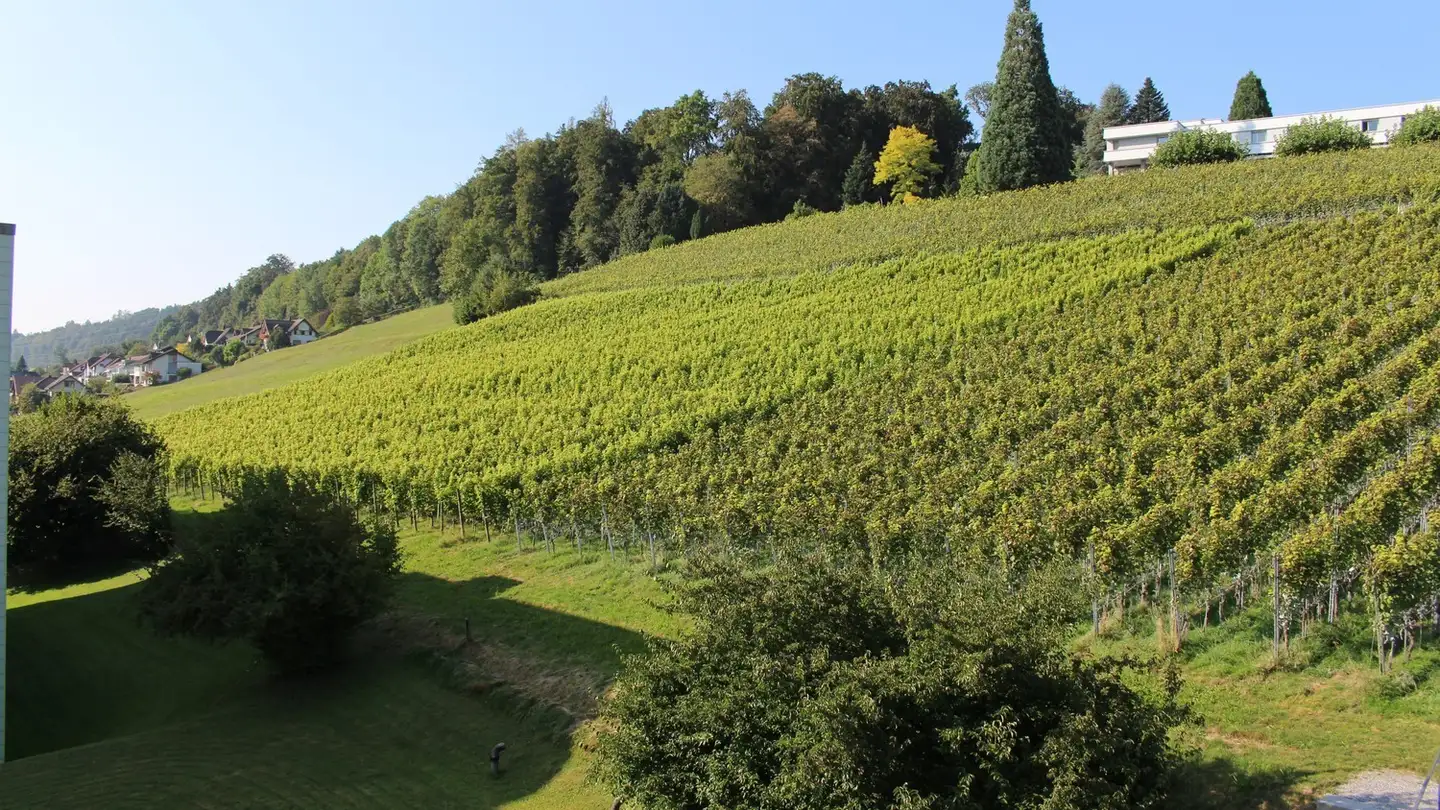 Wohnung mieten - 8730 Uznach - Foto 3