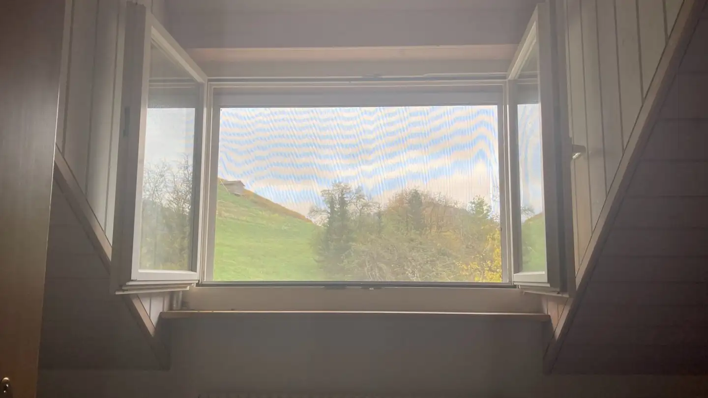 Single room for rent - 8218 Osterfingen - Photo 4