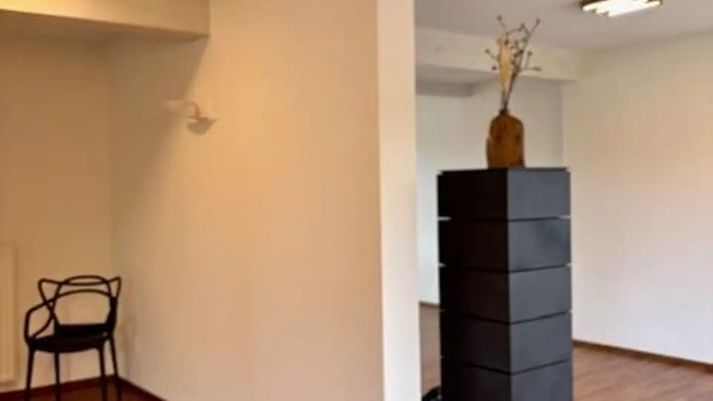 Appartamento in affitto - Schützenweg, 4102 Binningen - Foto 4