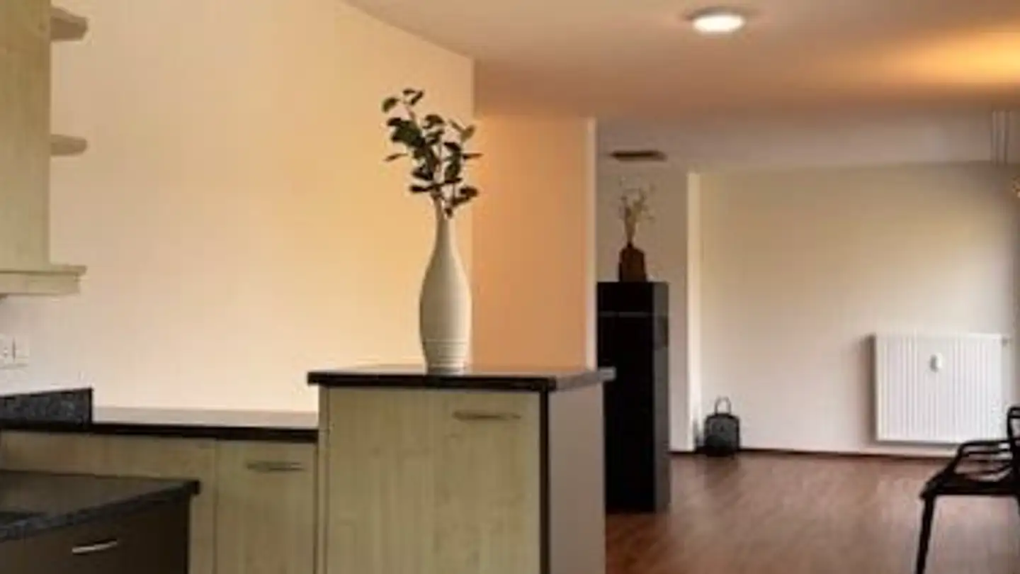 Appartamento in affitto - Schützenweg, 4102 Binningen - Photo 3