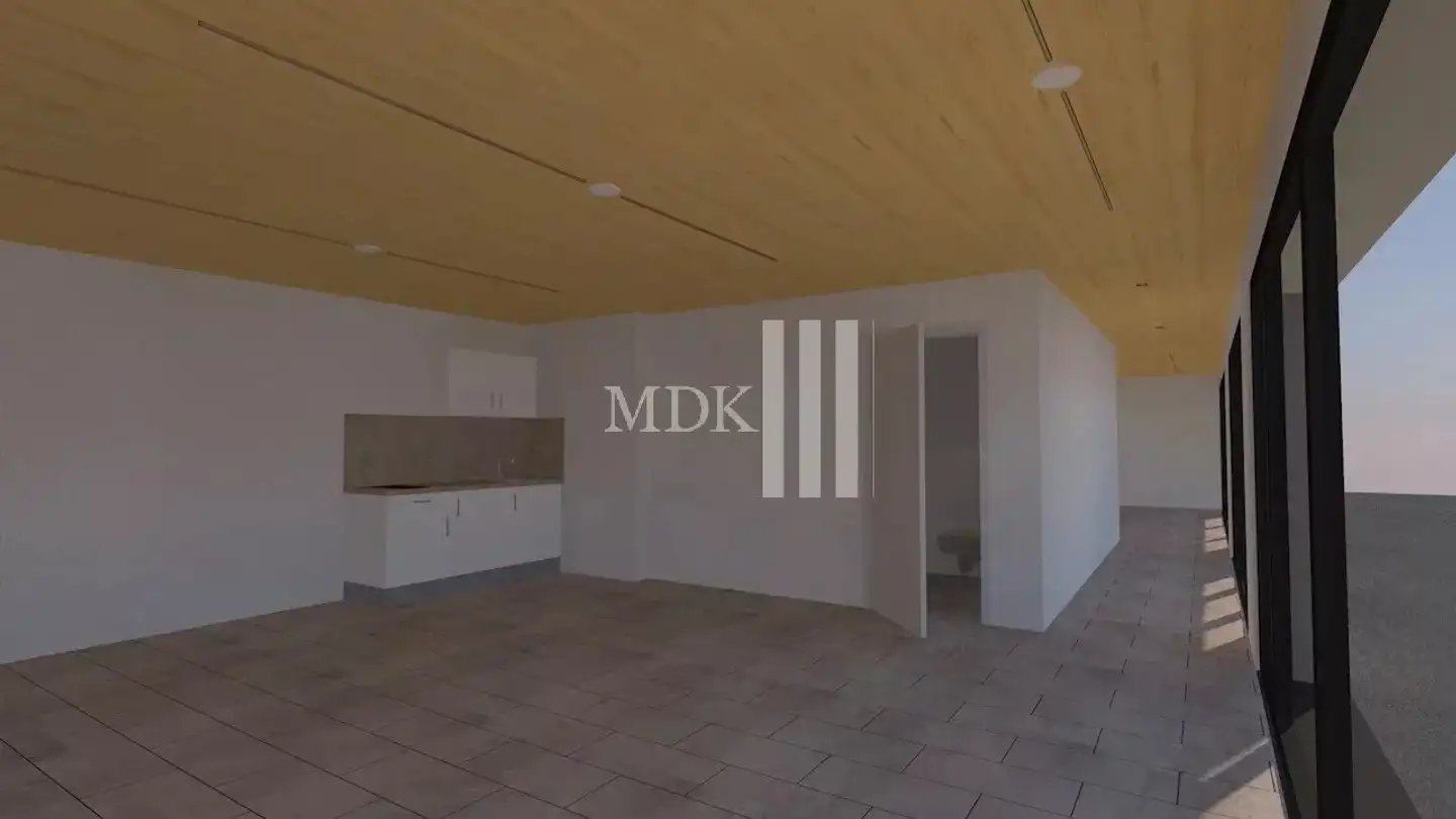 Commercial for rent - Avenue Du Simplon 21, 1870 Monthey - Photo 2
