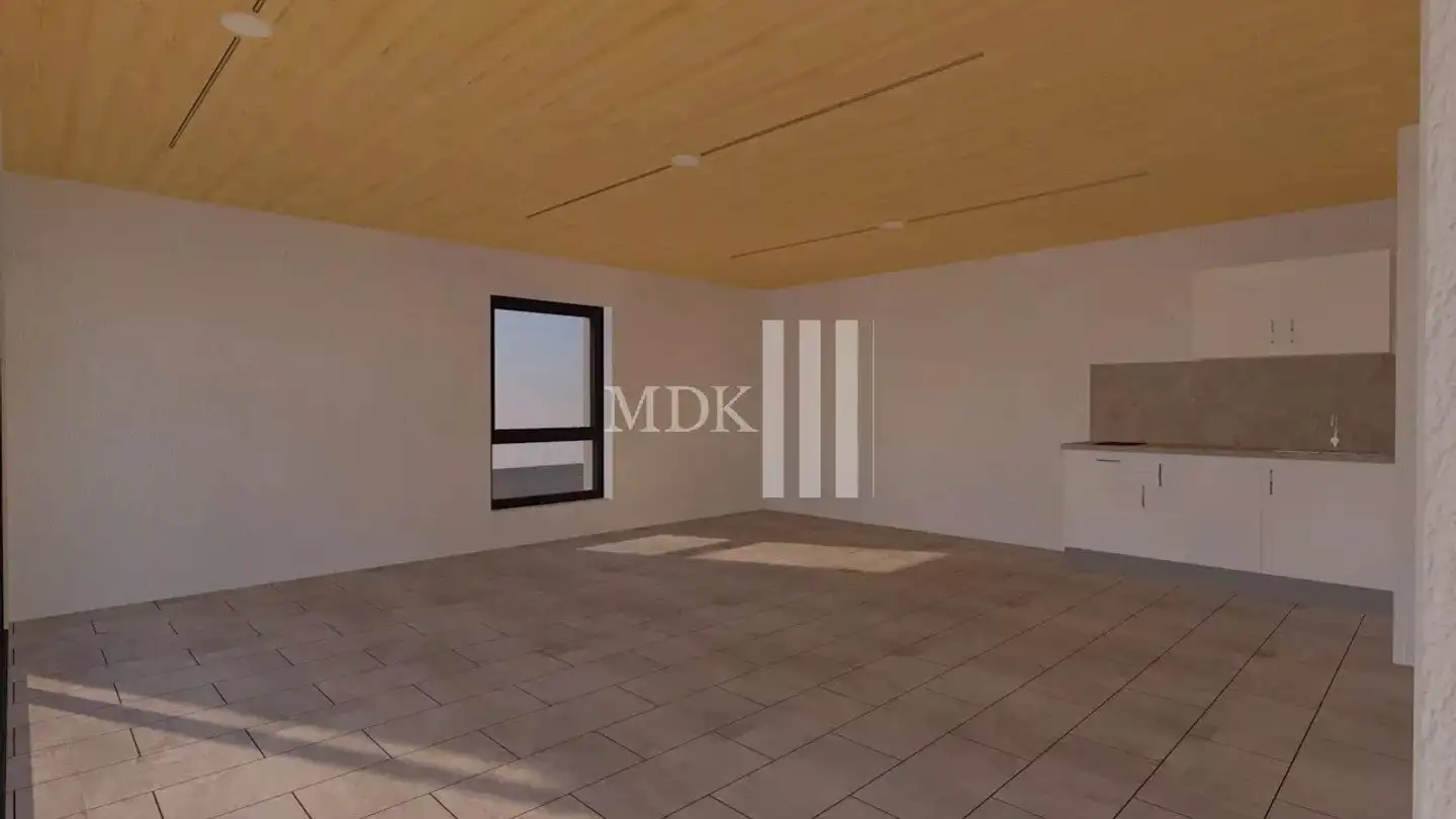 Commercial for rent - Avenue Du Simplon 21, 1870 Monthey - Photo 3