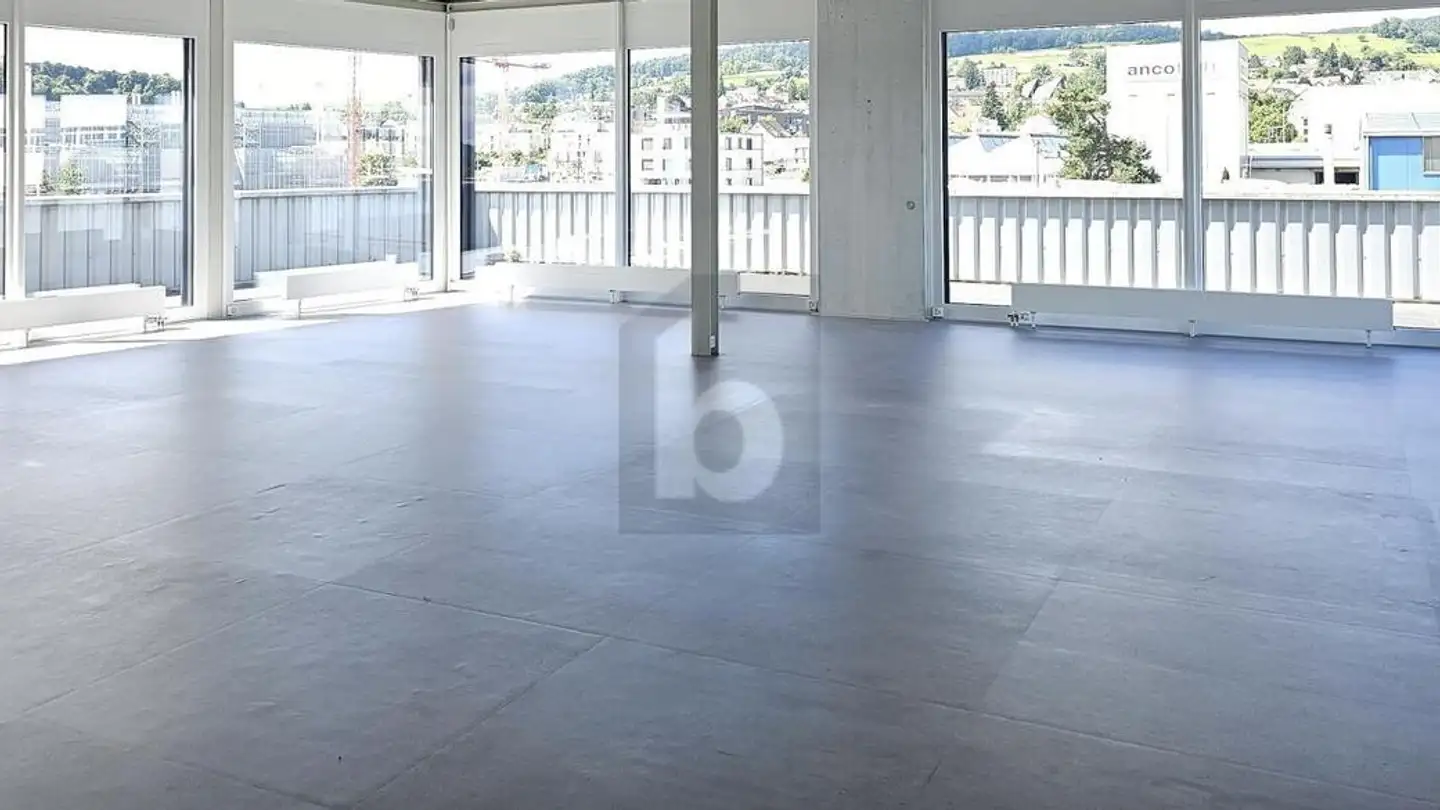 Office space for rent - 8157 Dielsdorf