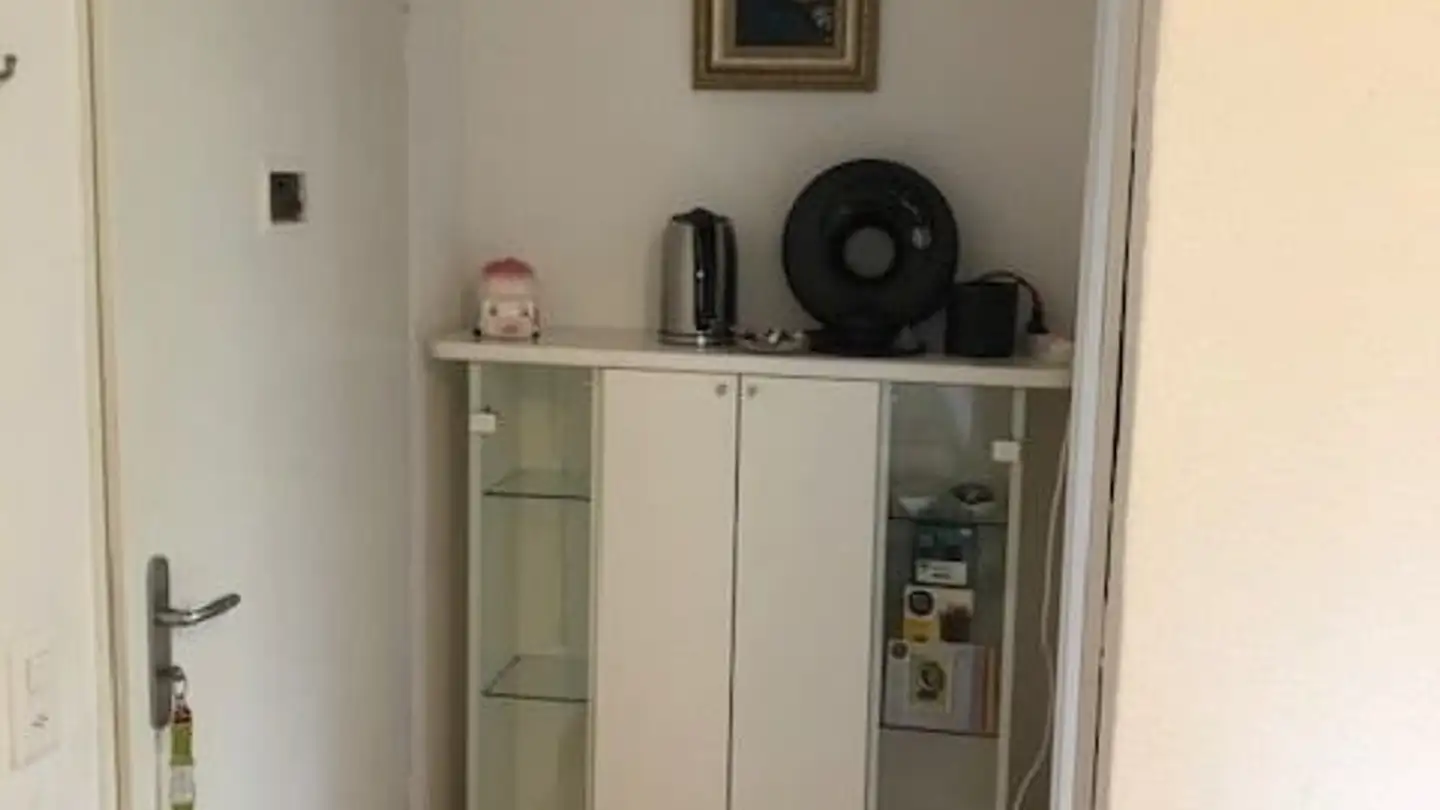 Studio in affitto - Imbisbühlstrasse 118, 8049 Zürich - Foto 2