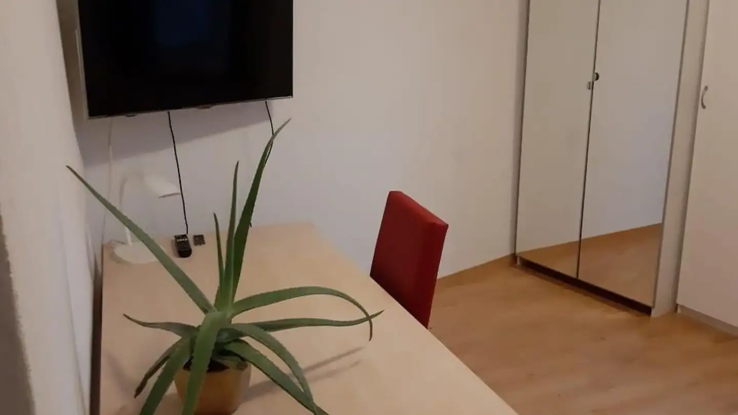 Studio in affitto - Imbisbühlstrasse 118, 8049 Zürich - Foto 4