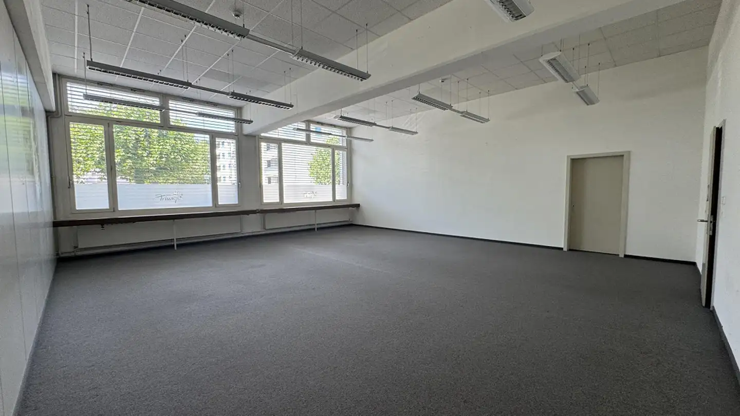 Commercial à louer - Triumphweg 24, 5330 Bad Zurzach - Photo 4