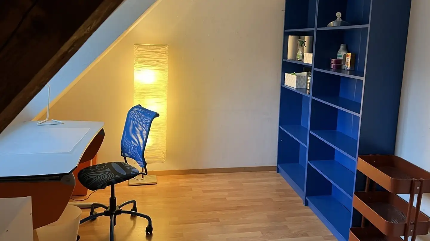 Single room for rent - Schwandenholzstrasse 236, 8046 Zürich - Photo 4