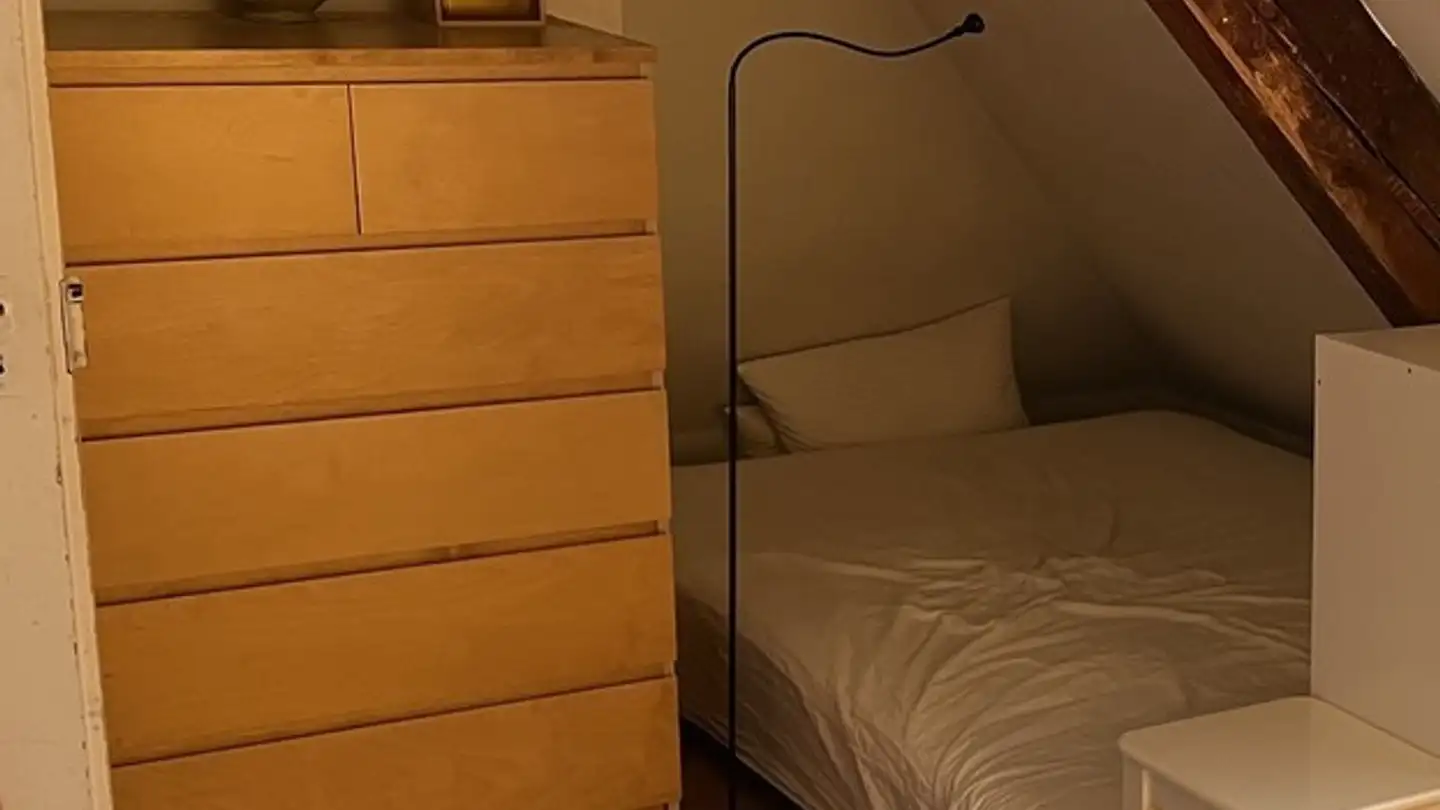 Single room for rent - Schwandenholzstrasse 236, 8046 Zürich - Photo 3