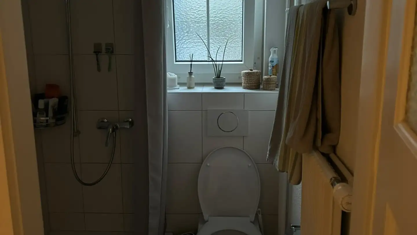 Appartamento in affitto - Federweg 41, 3008 Bern - Foto 4