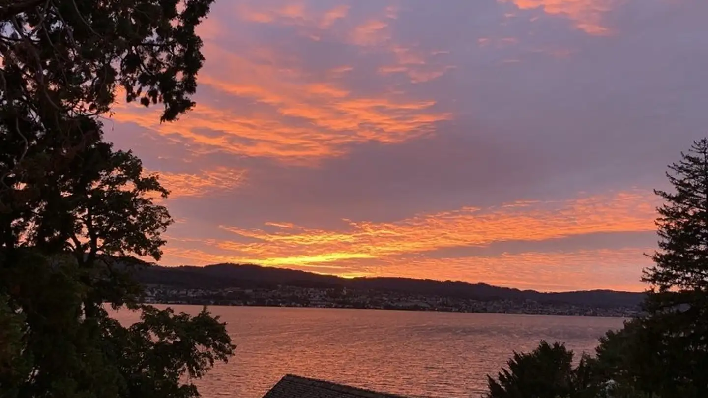 Appartement à louer - Grundhofstrasse, 8704 Herrliberg - Photo 2