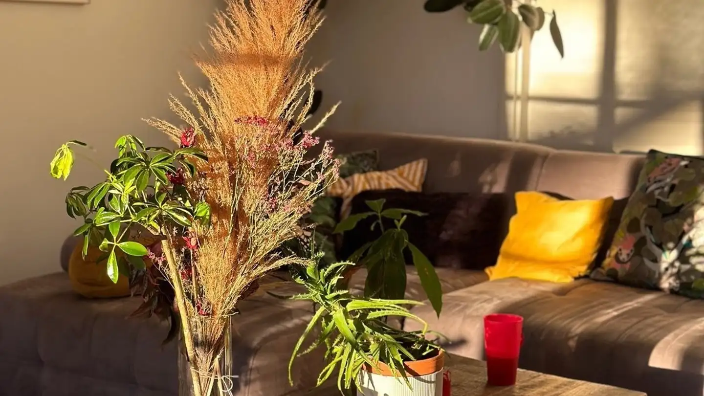 Zimmer mieten - Chemin De Chambésy, 1292 Chambésy - Foto 3