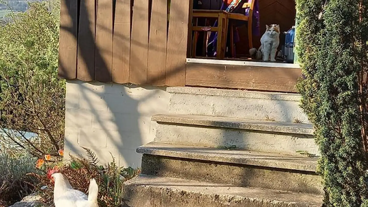 Einfamilienhaus mieten - Baselstrasse 36, 4202 Duggingen