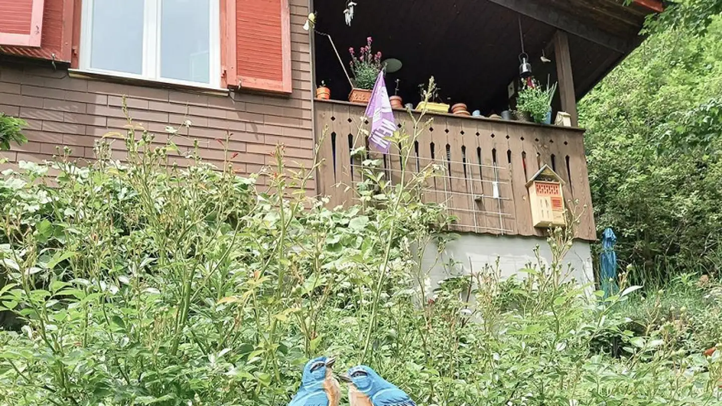 Einfamilienhaus mieten - Baselstrasse 36, 4202 Duggingen - Foto 3