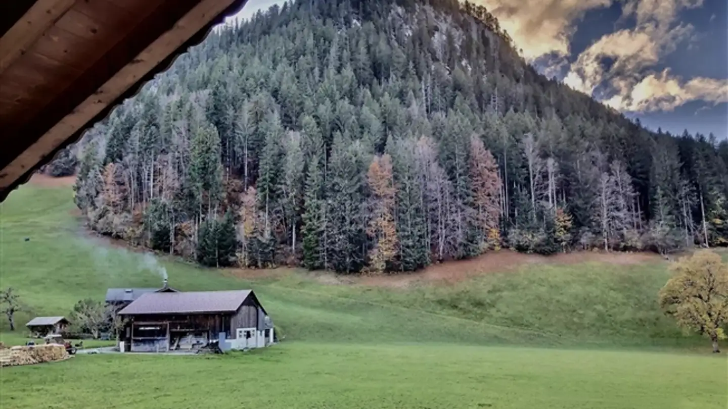 Apartment for rent - 3792 Saanen