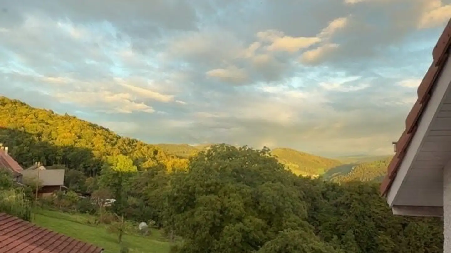 Appartamento in affitto - Huggerwaldstrasse 151, 4245 Kleinlützel - Foto 3