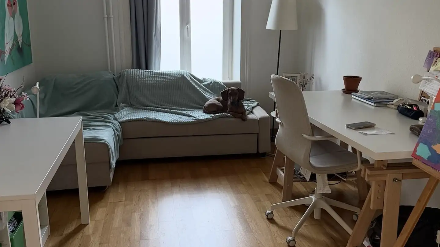 Wohnung mieten - 8055 Zürich - Foto 2