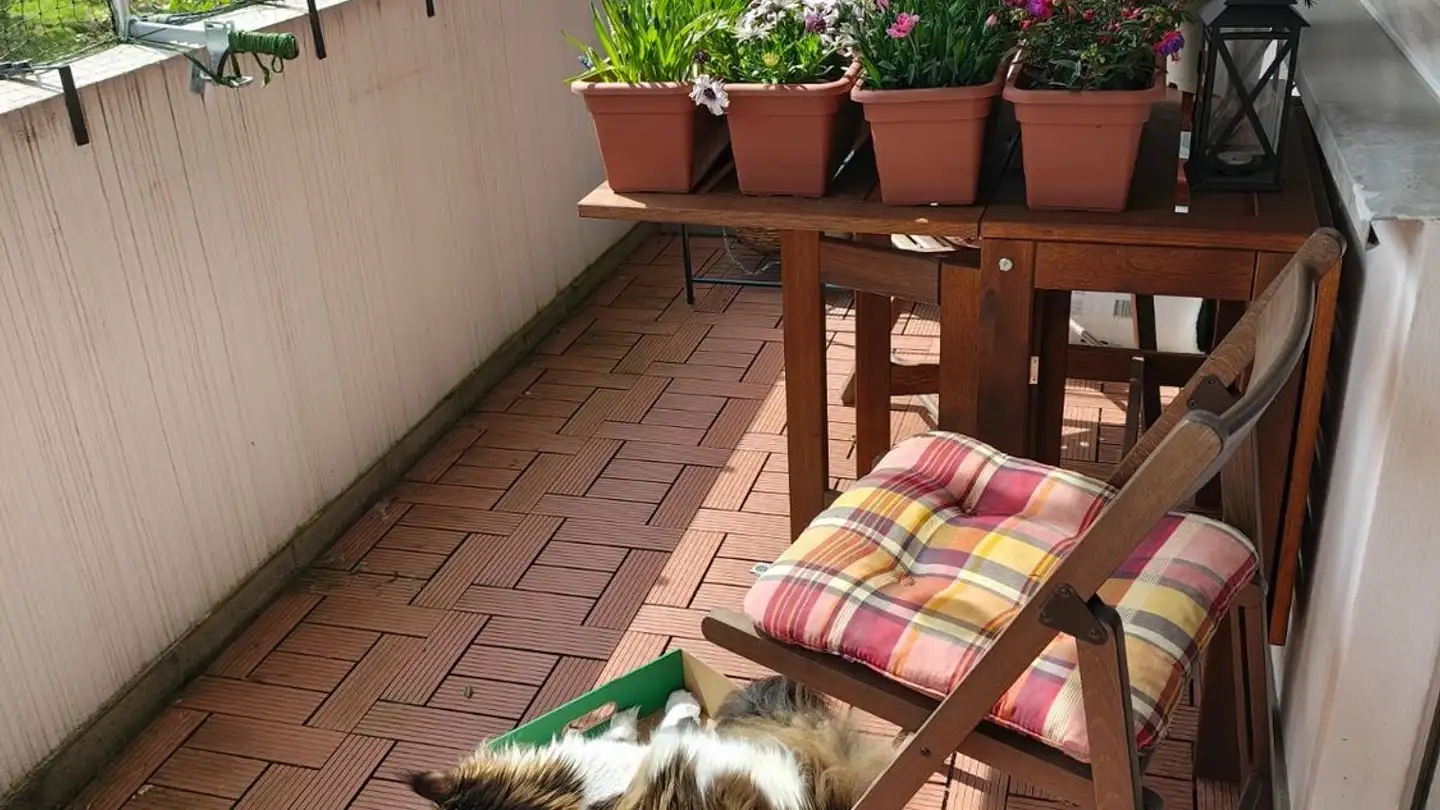 Appartamento in affitto - Solitüdenstrasse 1, 9012 St. Gallen - Foto 2